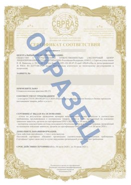 Образец Сертификат СТО 01.064.00220722.2-2020 Кстово Сертификат СТО 01.064.00220722.2-2020 